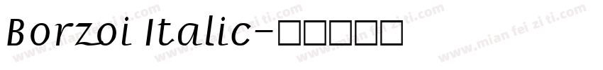 Borzoi Italic字体转换